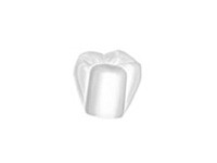 白い被せる歯（上部構造補綴物）